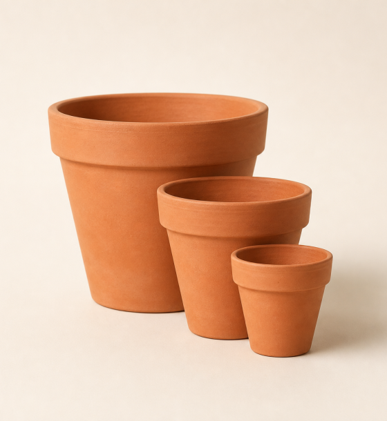 Clay Pot